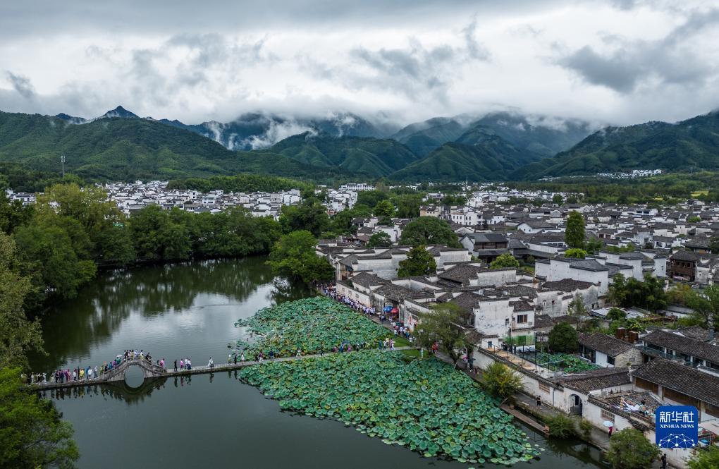 菠菜论坛有哪些